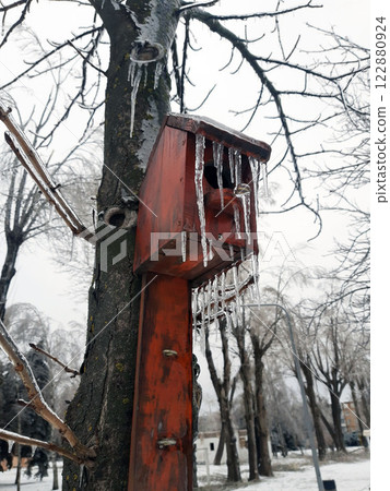Bird house in winter on an old tree Bird house in winter on an old tree 122880924