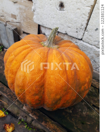 Orange pumpkin close up Orange pumpkin close up 122881124