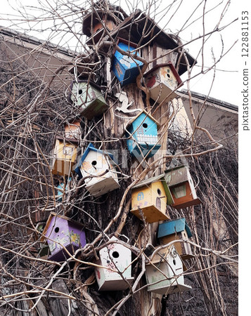 Bird houses on an old tree close-up Bird houses on an old tree close-up 122881153