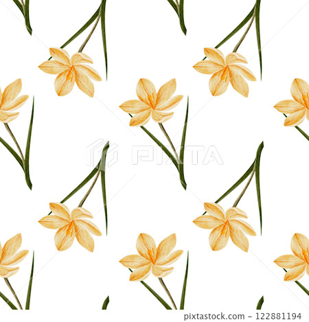 seamless pattern with crocus flower in yellow color, drawn in watercolor, isolated on white. Hand drawn botanical illustration. Elements for cards, logos, prints, wedding design 122881194