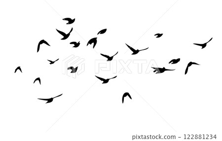 Flying birds silhouette flock. hand drawing. Not AI. Vector illustration 122881234