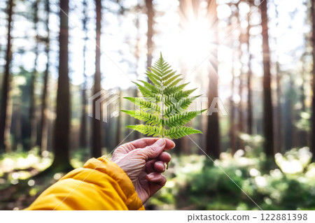 Hand of elderly person holding wildflowers and fern in sunlit forest, nature and aging concept Hand of elderly person holding wildflowers and fern in sunlit forest, nature and aging concept 122881398