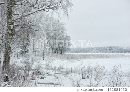 The heavy snowfall in a wild park, winter fairy tale in the forest, snow-covered tree branches, large flakes of snow are slowly falling, nobody, snow storm, blizzard The heavy snowfall in a wild park, winter fairy tale in the forest, snow-covered tree branches, large flakes of snow are slowly falling, nobody, snow storm, blizzard 122881450