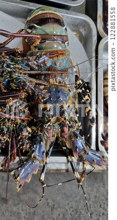 Fresh seafood at Gili T night market 122881558