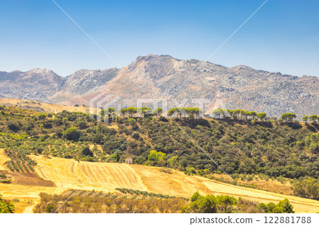 The mountainous land of Andalusia near Ronda town in Spain. Sun-drenched hills and mountains under a clear blue sky. Golden fields stretch towards a ridge of pine trees. Tranquil rural landscape. The mountainous land of Andalusia near Ronda town in Spain. Sun-drenched hills and mountains under a clear blue sky. Golden fields stretch towards a ridge of pine trees. Tranquil rural landscape. 122881788