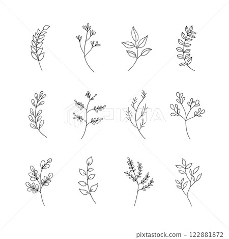 A minimalist set of botanical drawings featuring delicate plant elements. Great for branding, stationary, textile design, and fine art. A minimalist set of botanical drawings featuring delicate plant elements. Great for branding, stationary, textile design, and fine art. 122881872
