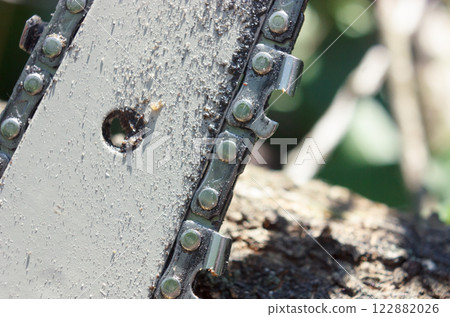 Chainsaw blade cutting through tree branch. 122882026