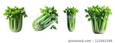 Fresh celery, side and top view isolated on transparent background, PNG file. Ideal for mockup templates or educational designs Fresh celery, side and top view isolated on transparent background, PNG file. Ideal for mockup templates or educational designs 122882398
