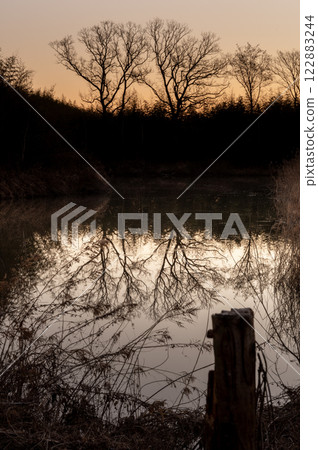A pond with a dead tree and the sky dyed in the winter morning glow A pond with a dead tree and the sky dyed in the winter morning glow 122883244