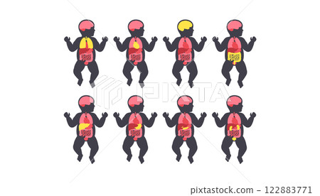 Human internal organs Human internal organs 122883771