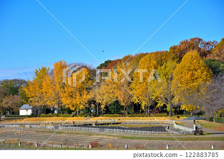 [愛知縣]名古屋市、莊內綠色公園的秋季 122883785