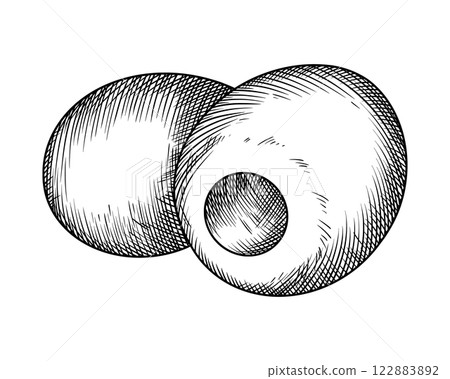 Olive fruits food illustration in the graphic line art style. Hand drawn vector outline element of preparing meal. Perfect for vegetable menu creating and sketch drawing designs. 122883892