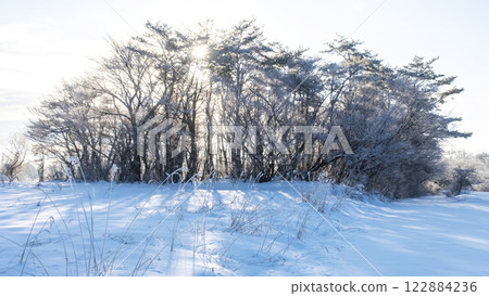 Image of snowshoe trekking Hiruzen Kogen Image of snowshoe trekking Hiruzen Kogen 122884236