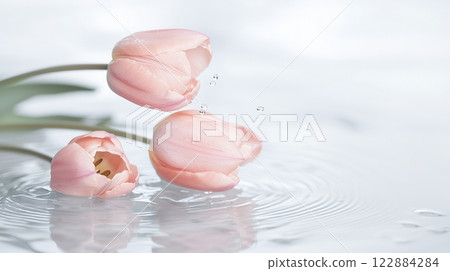 Delicate pink tulips with soft petals and fresh water droplets, resting on a reflective surface. A romantic and elegant floral composition. Delicate pink tulips with soft petals and fresh water droplets, resting on a reflective surface. A romantic and elegant floral composition. 122884284