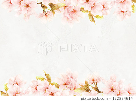 Cherry blossom frame in full bloom Cherry blossom frame in full bloom 122884614