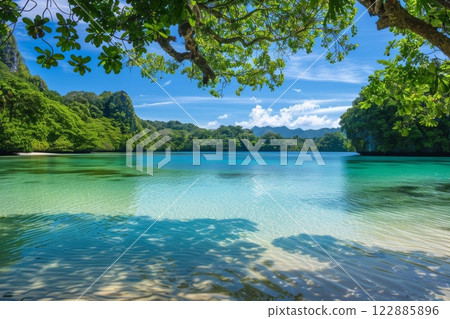 Tropical Paradise with Crystal Clear Water 122885896