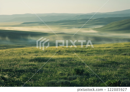 Golden Field at Sunset 122885927