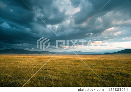 Expansive Golden Field Under Dramatic Sky 122885934