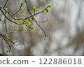 Those who enjoy the spring sunshine 122886018