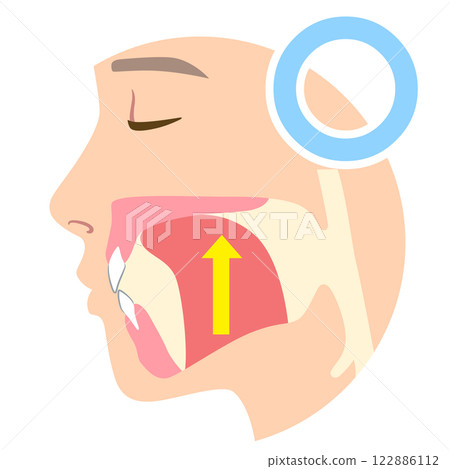 How to mew properly: correct and incorrect tongue position 122886112