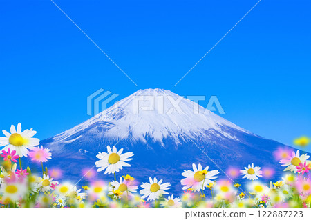 花田 春天 富士山 122887223
