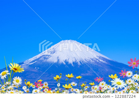 花田 春天 富士山 花田 春天 富士山 122887224