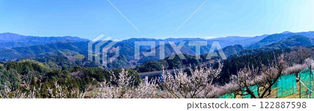 梅花在梅水月的晴空中熠熠生輝 “人吉市南部大古葉山坡上的梅園” 人吉市 梅花在梅水月的晴空中熠熠生輝 “人吉市南部大古葉山坡上的梅園” 人吉市 122887598