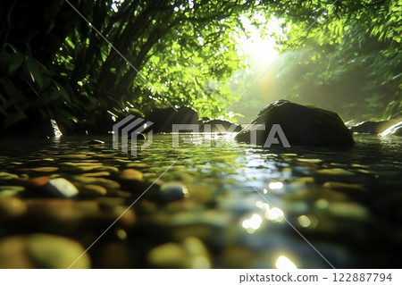 Tranquil Creek with Sunlight and Lush Greenery in Nature Scene Tranquil Creek with Sunlight and Lush Greenery in Nature Scene 122887794