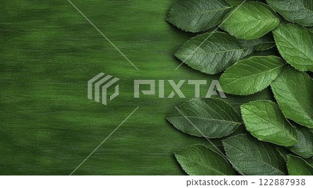 Eco-Friendly Watercolor Designs Featuring Hand-Painted Leaves Eco-Friendly Watercolor Designs Featuring Hand-Painted Leaves 122887938