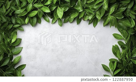 Fresh Green Leaves Border with Intricate Details on Light Background Fresh Green Leaves Border with Intricate Details on Light Background 122887950