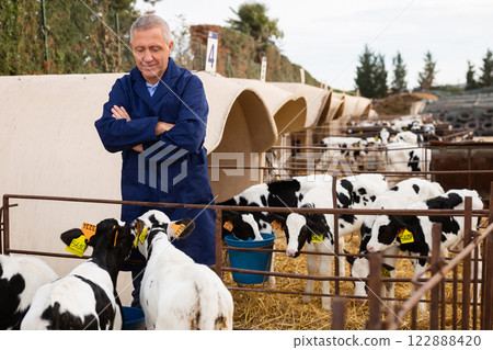 Positive man farmer in workwear petting and feeding calves during the day on ranch. Cattle breeding, taking care of animals, dairy and meat production concept Positive man farmer in workwear petting and feeding calves during the day on ranch. Cattle breeding, taking care of animals, dairy and meat production concept 122888420