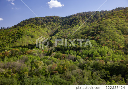 定山溪的新綠 定山溪的新綠 122888424