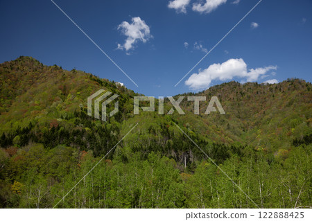 The fresh green of Jozankei 122888425