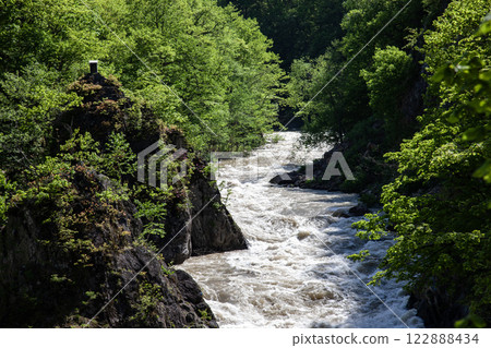 定山溪的新綠 定山溪的新綠 122888434