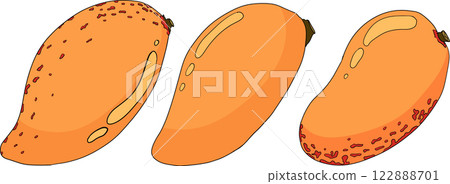 Hand drawn colored mango. Tropical fruit vector illustration.  122888701