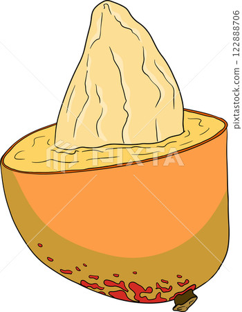Hand drawn colored mango. Tropical fruit vector illustration.  122888706