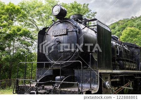 steam locomotive steam locomotive 122888801