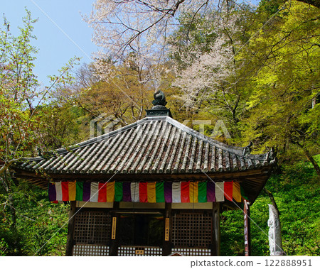 Hase-ji Temple櫻花奈良縣 Hase-ji Temple櫻花奈良縣 122888951