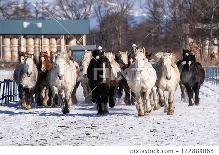Horse chasing campaign Horse chasing campaign 122889063