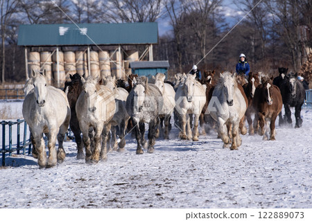Horse chasing campaign 122889073