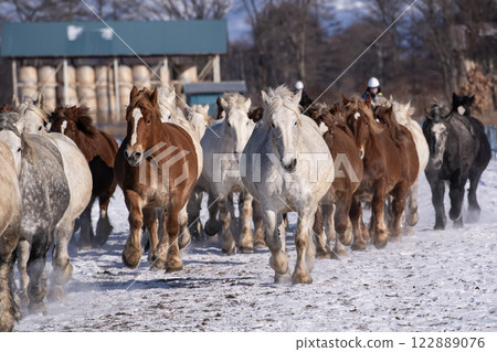 馬追逐運動 馬追逐運動 122889076