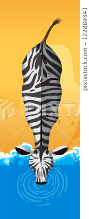 Zebra Drinking at Water's Edge Zebra Drinking at Water's Edge 122889341
