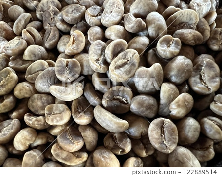 Close-up of dried coffee beans Close-up of dried coffee beans 122889514