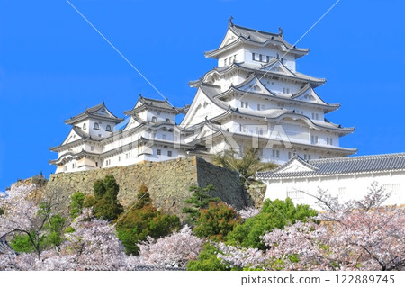 [Hyogo Prefecture] Himeji Castle on a clear day and cherry blossoms in full bloom 122889745