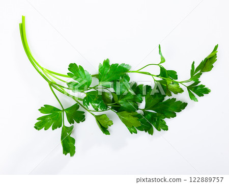 Sprigs of fresh parsley, isolated on a white background Sprigs of fresh parsley, isolated on a white background 122889757