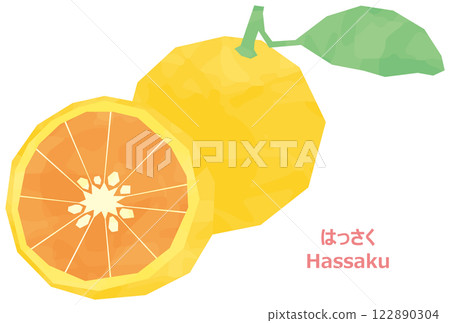 Watercolor illustration of hassaku 122890304