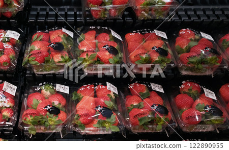 Kumamon doll is marked on strawberry for sale . it is a mascot bear in Kumamoto. 122890955