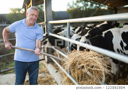 Male farmer feeding cows in stables with hay Male farmer feeding cows in stables with hay 122892804