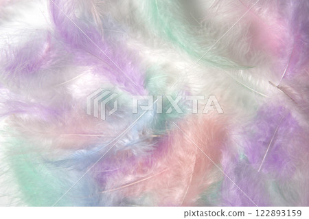Multicolored light feathers on a white background in pastel colors. Wallpaper or template for your product 122893159
