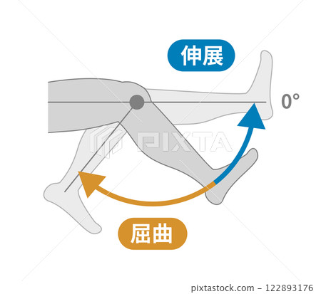 膝關節活動範圍:屈曲和伸展 膝關節活動範圍:屈曲和伸展 122893176